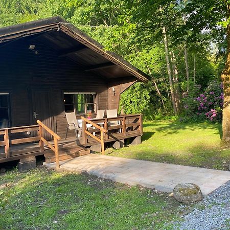 Heidegut Eschede Reitsportanlage Und Feriendorf Kültér fotó