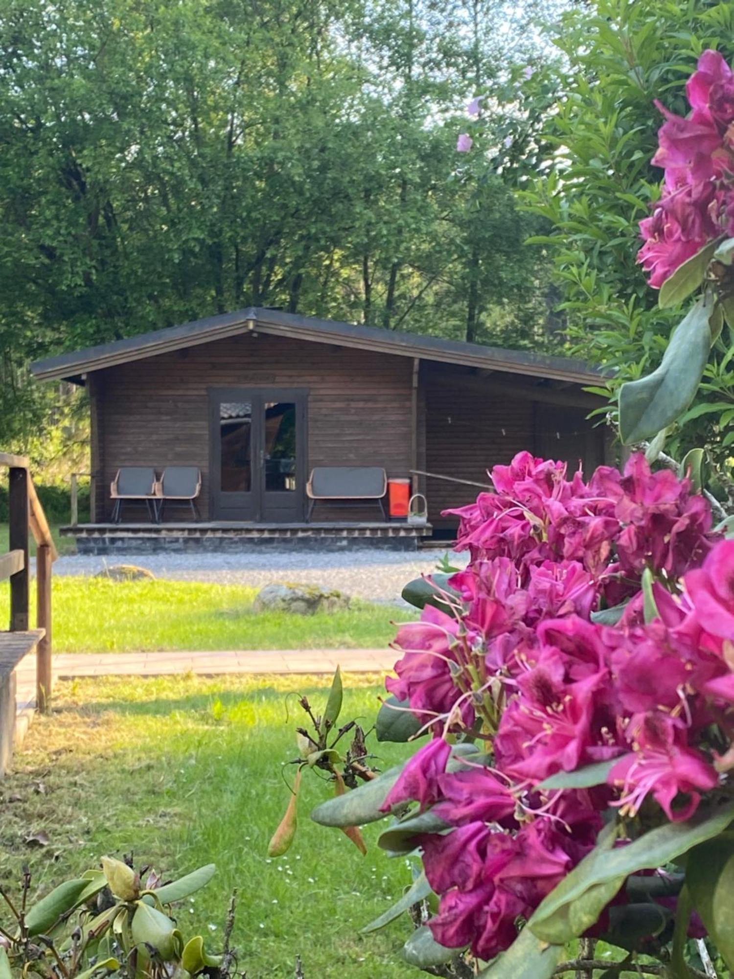Heidegut Eschede Reitsportanlage Und Feriendorf Kültér fotó