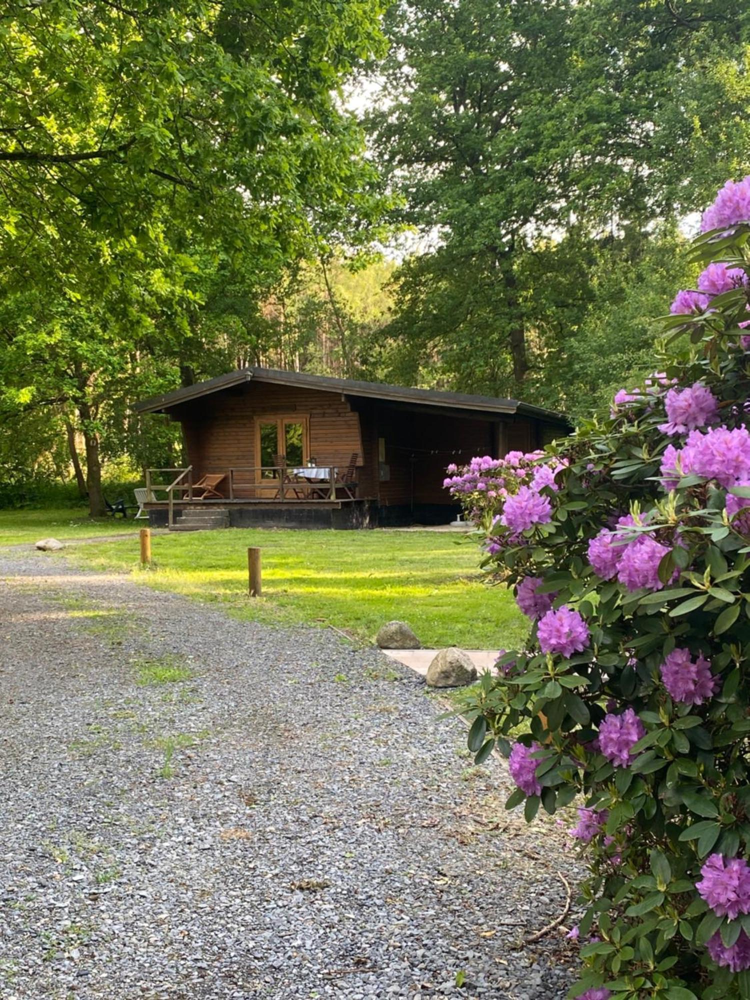 Heidegut Eschede Reitsportanlage Und Feriendorf Kültér fotó