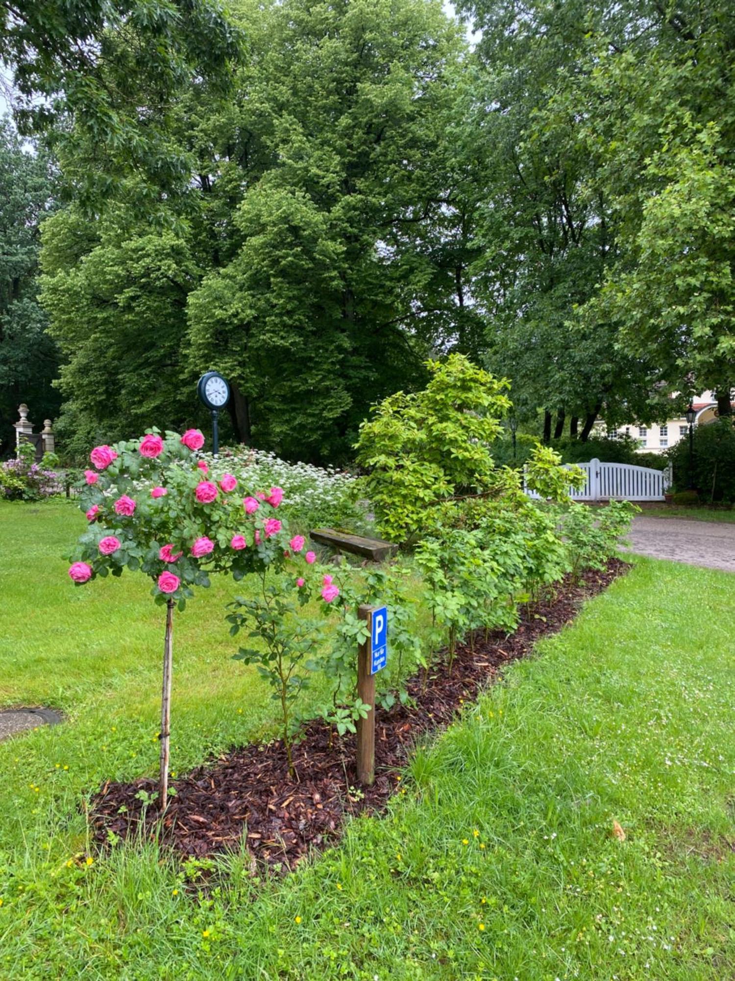 Heidegut Eschede Reitsportanlage Und Feriendorf Kültér fotó