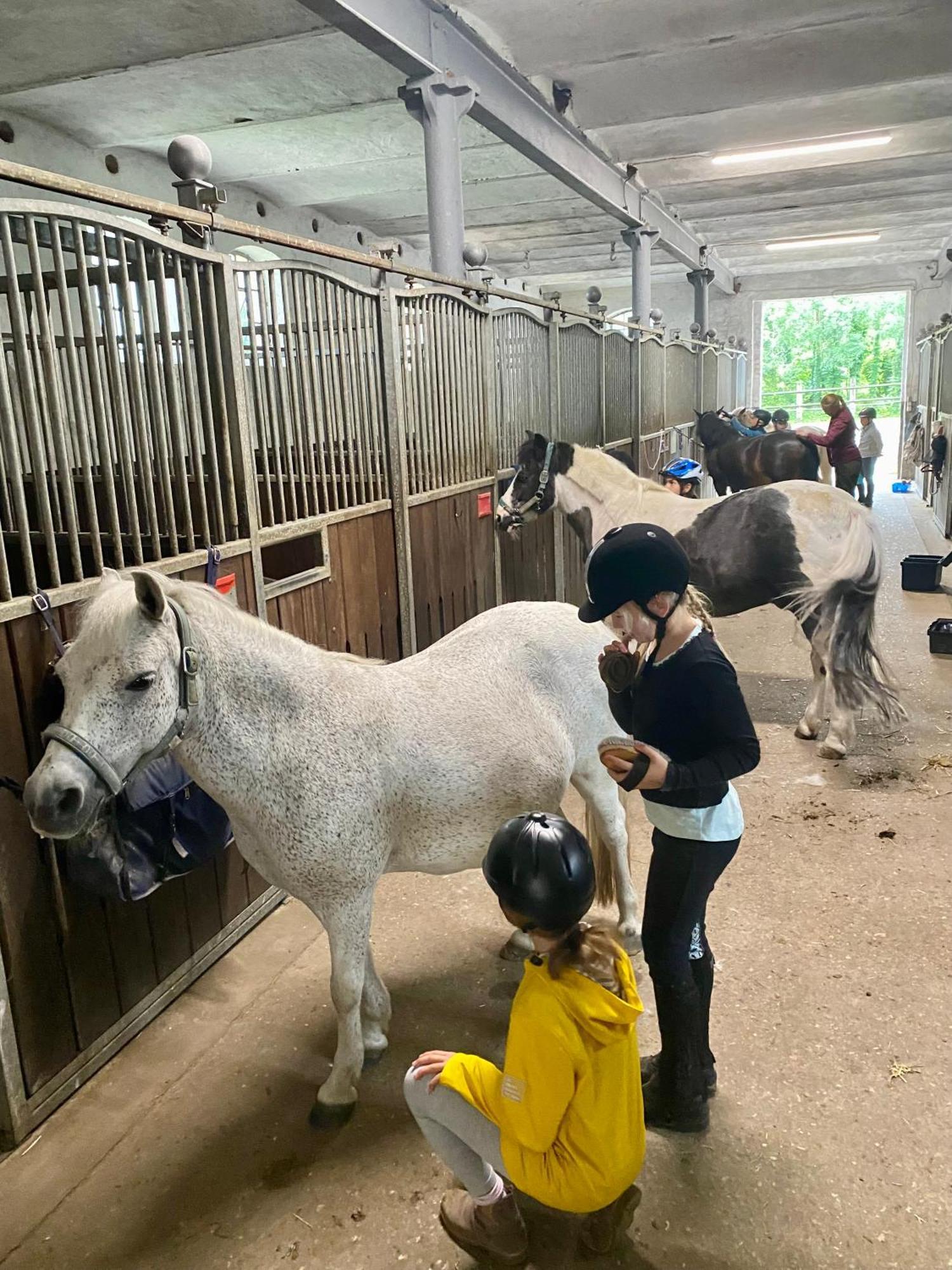 Heidegut Eschede Reitsportanlage Und Feriendorf Kültér fotó