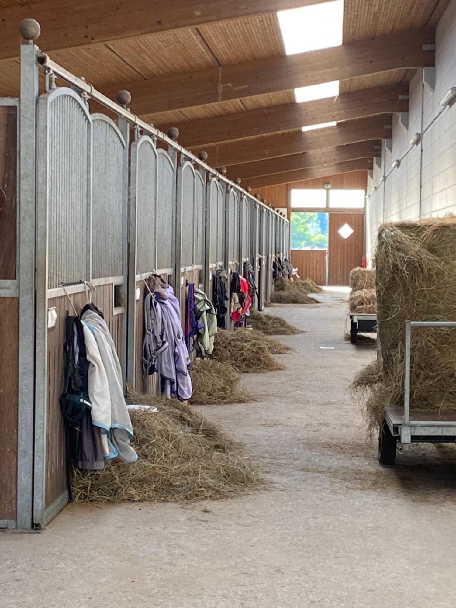 Heidegut Eschede Reitsportanlage Und Feriendorf Kültér fotó