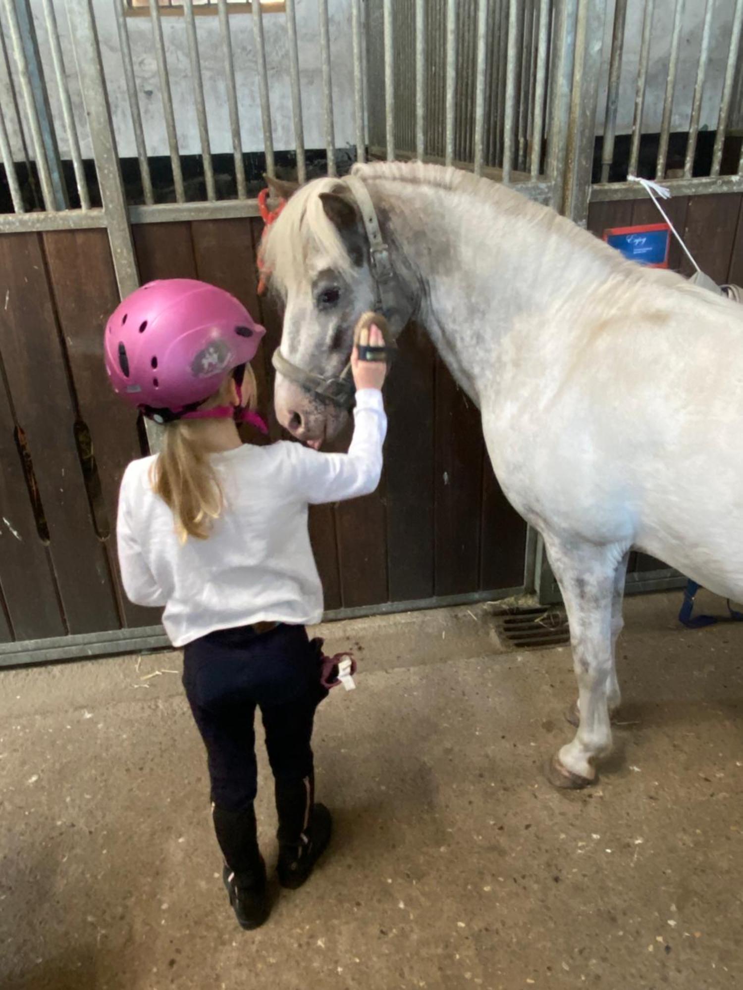 Heidegut Eschede Reitsportanlage Und Feriendorf Kültér fotó