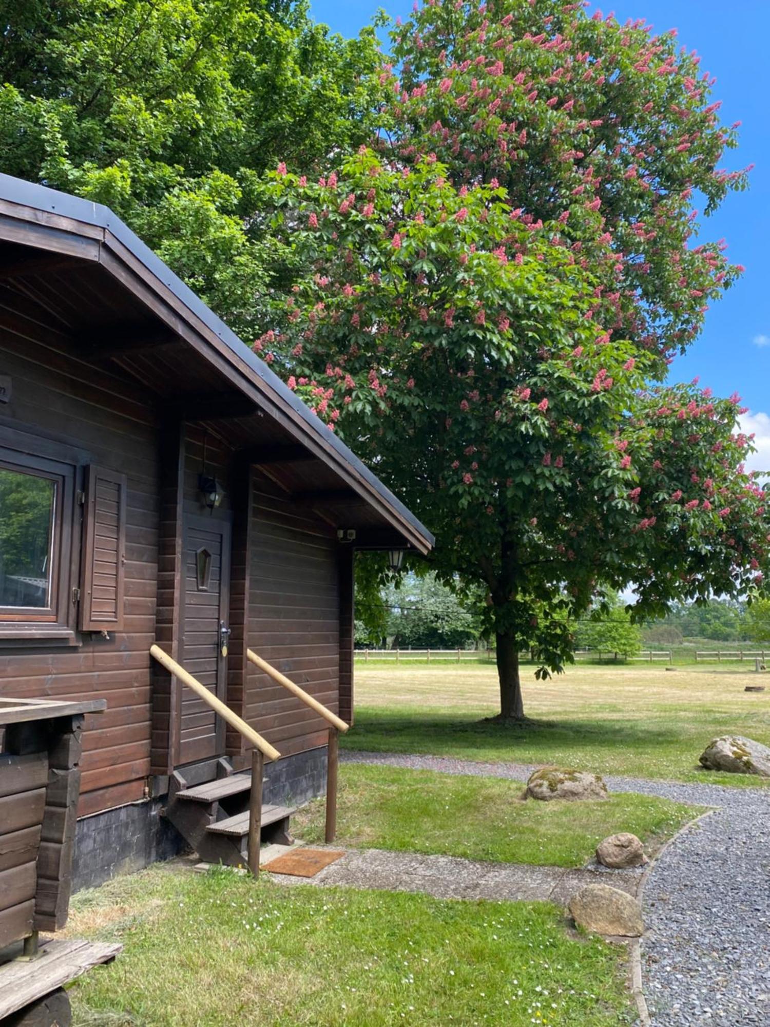 Heidegut Eschede Reitsportanlage Und Feriendorf Kültér fotó